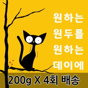 [원두데이 정기배송] 4회 X 200g