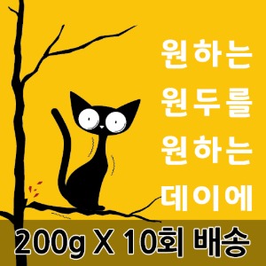 [원두데이 정기배송] 10회 X 200g
